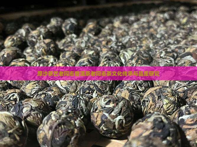 厚沙茶艺老同志普洱茶