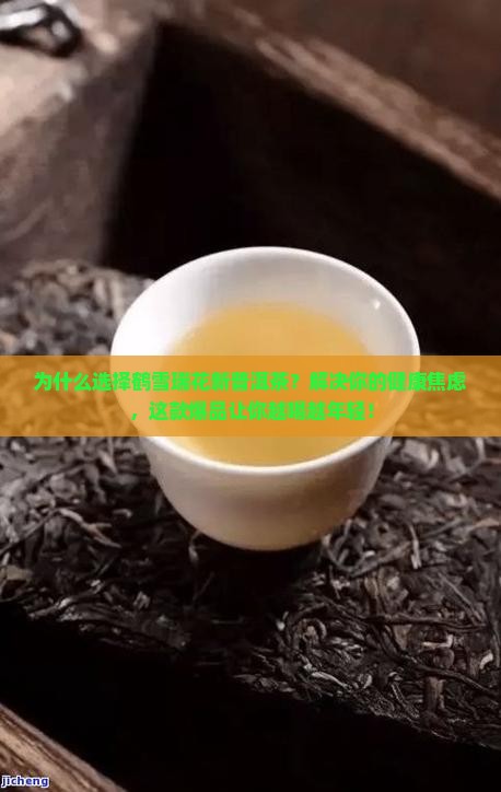 鹤雪瑞花新普洱茶