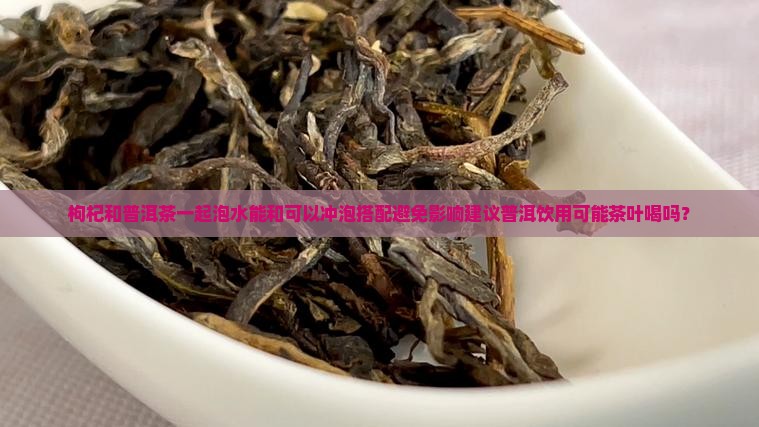 黑枸杞和普洱茶一起泡水吗
