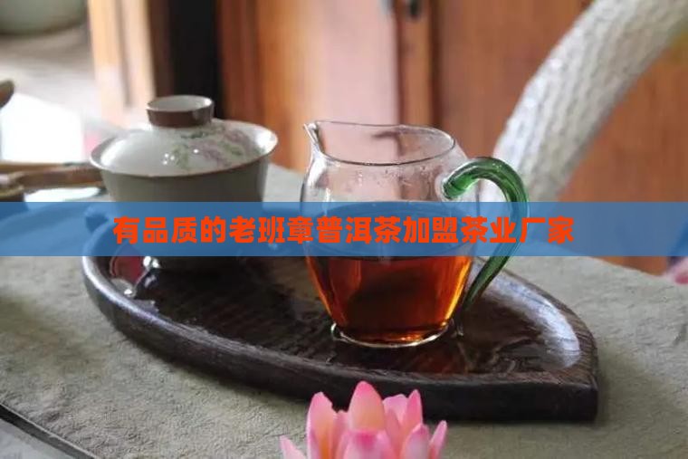 有品质的老班章厂家加盟