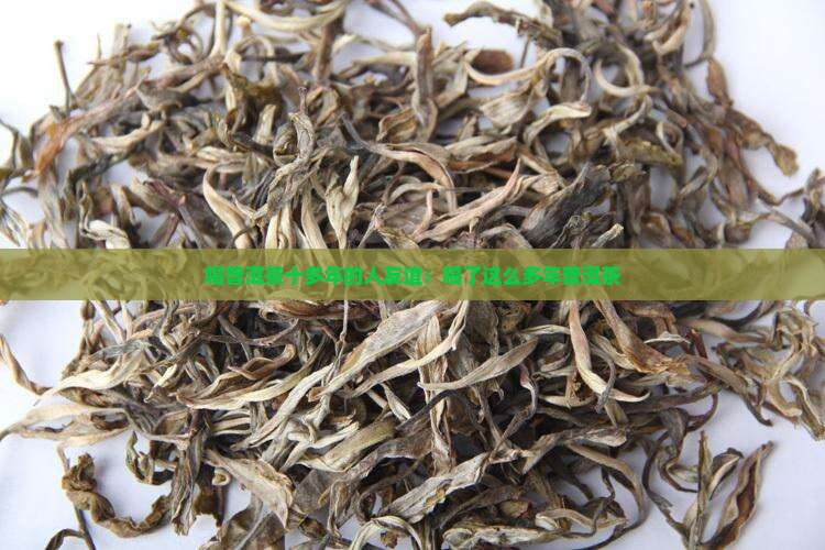 喝普洱茶十多年的人友谊