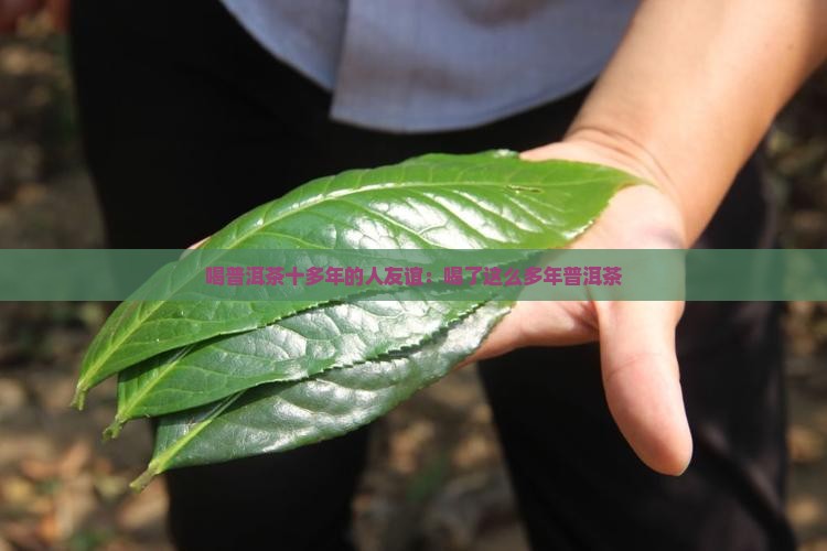 喝普洱茶十多年的人友谊