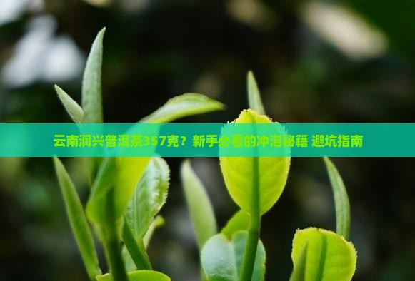 云南润兴普洱茶357克
