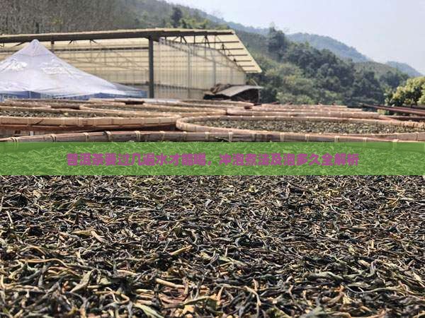 普洱茶要过几遍水
