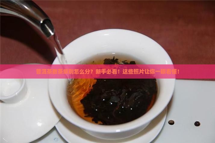 普洱茶散茶级别与照片