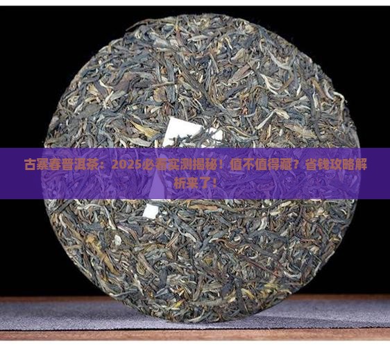 古寨春普洱茶值不值得购买藏
