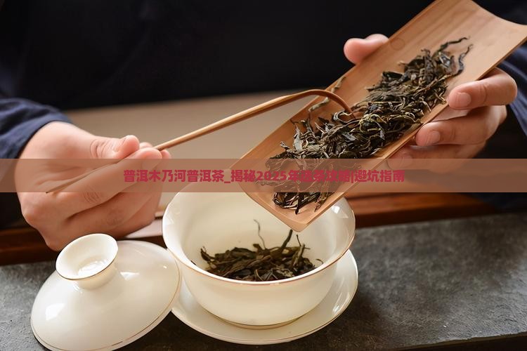 普洱木乃河普洱茶