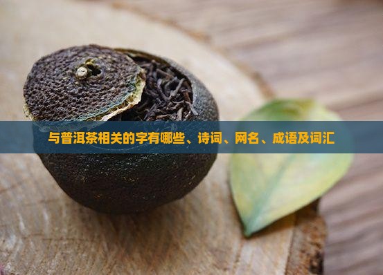 与普洱茶相关的字