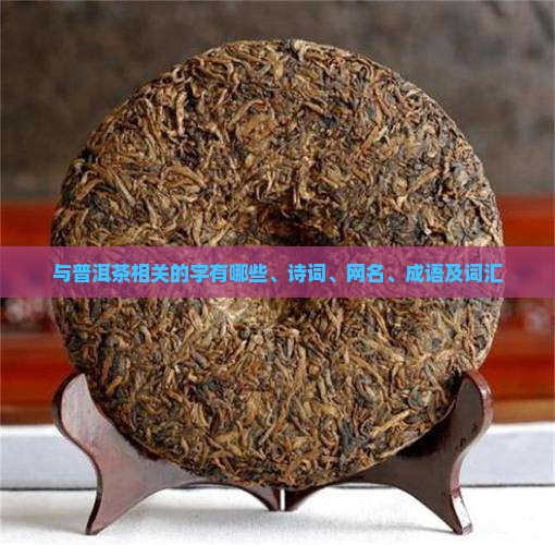 与普洱茶相关的字