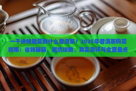 一千块钱能买到什么普洱茶