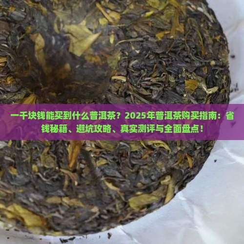 一千块钱能买到什么普洱茶