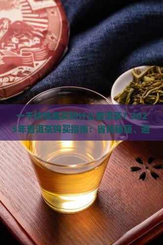 一千块钱能买到什么普洱茶
