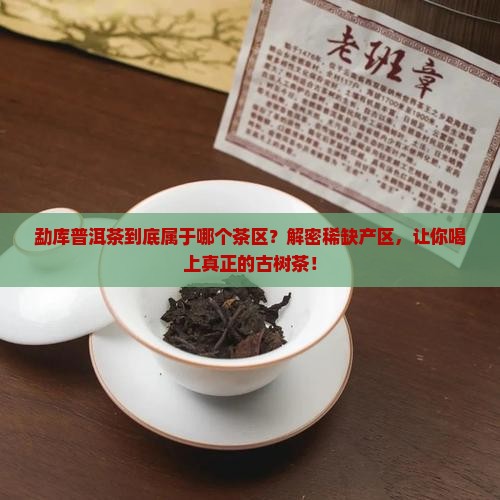 勐库普洱茶什么茶区