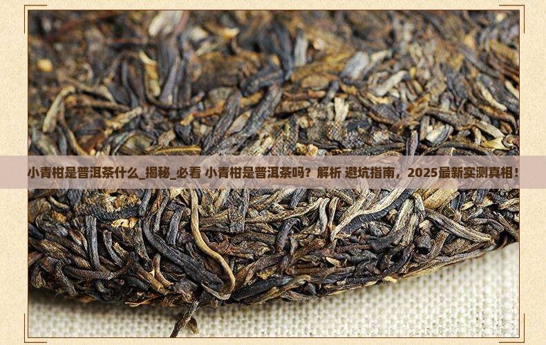 小青柑是普洱茶什么