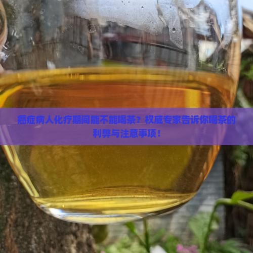 癌症病人化疗期间能不能喝茶