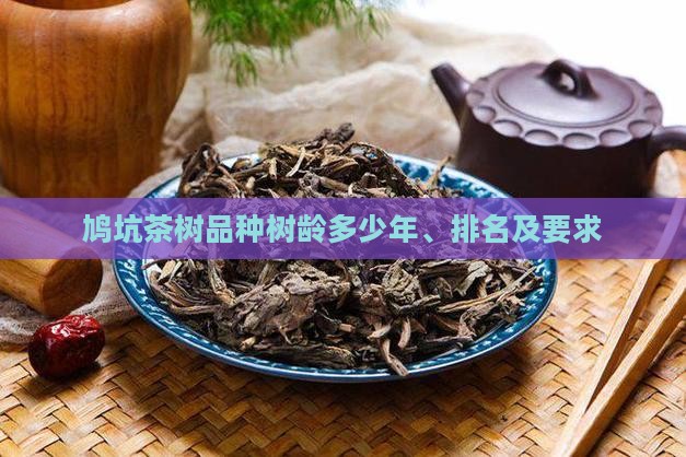 鸠坑茶树品种树龄