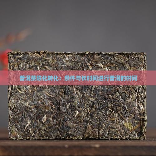 普洱茶陈化转化