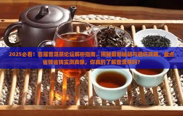 首届普洱茶论坛
