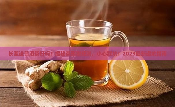 长辈送普洱茶好吗