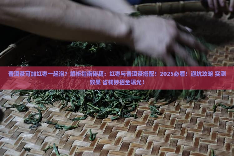 普洱茶可加红枣一起泡