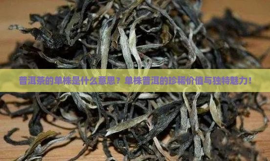 普洱茶的单株是什么意思
