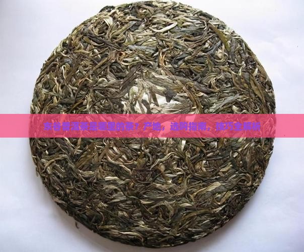 东谷普洱茶是哪里的茶