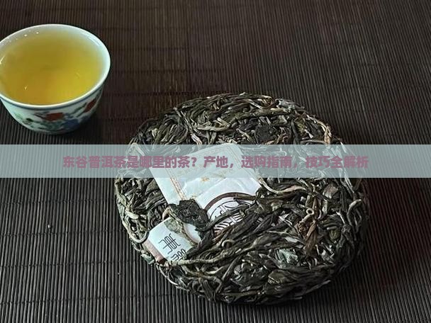东谷普洱茶是哪里的茶