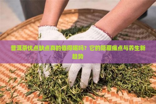 普洱茶优点缺点