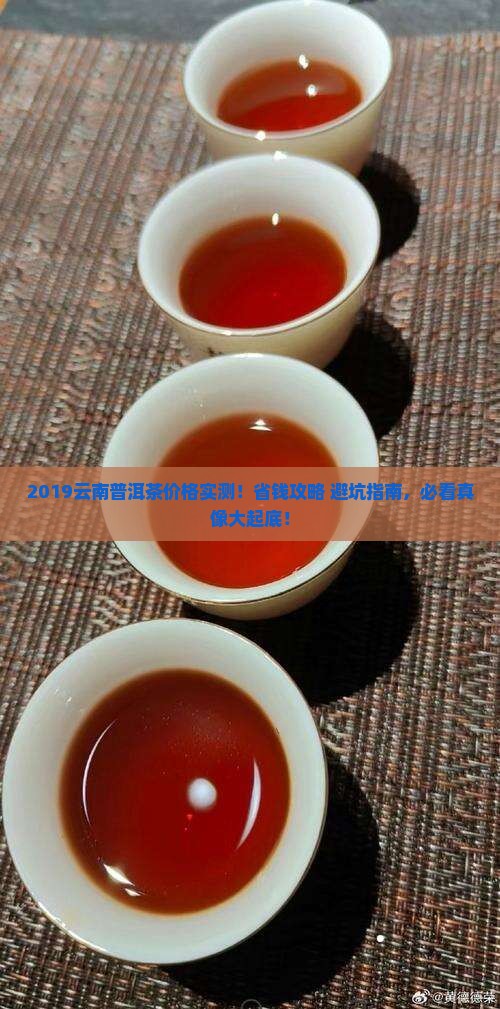 云南普洱茶2019茶价格