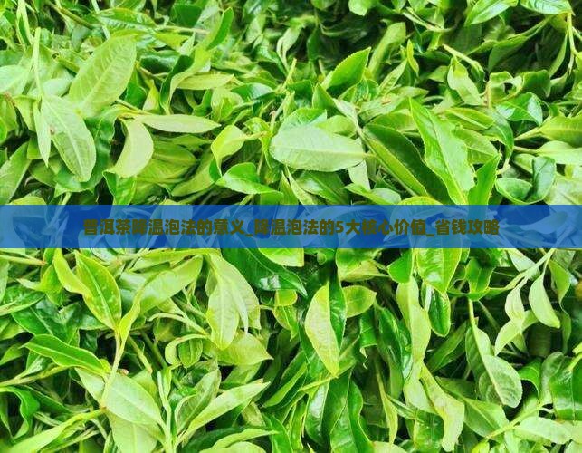 普洱茶降温泡法的意义