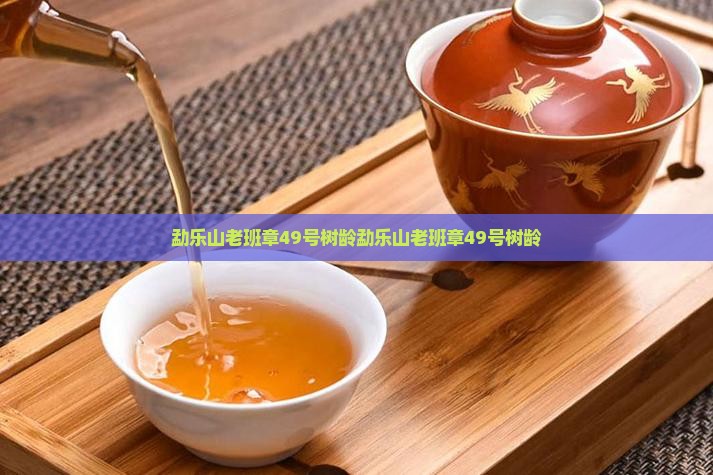 勐乐山老班章49号树龄