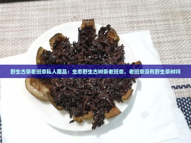 野生古茶老班章私人藏品