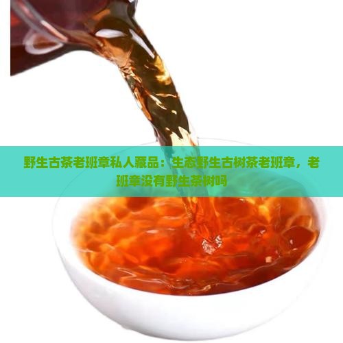 野生古茶老班章私人藏品