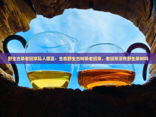 野生古茶老班章私人藏品
