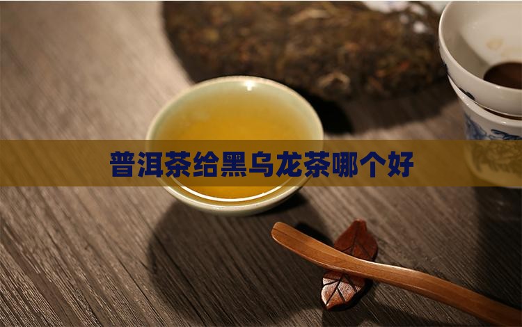 普洱茶给黑乌龙茶哪个好