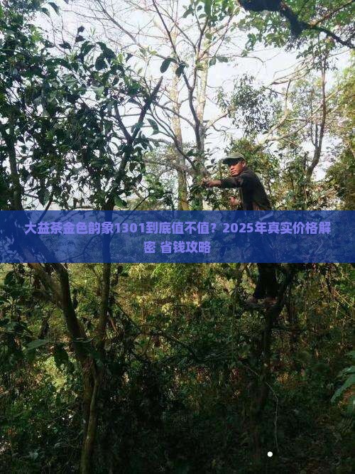 大益茶金色韵象1301价格