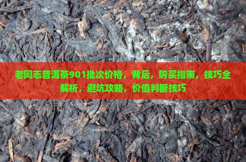 老同志普洱茶901批次价格
