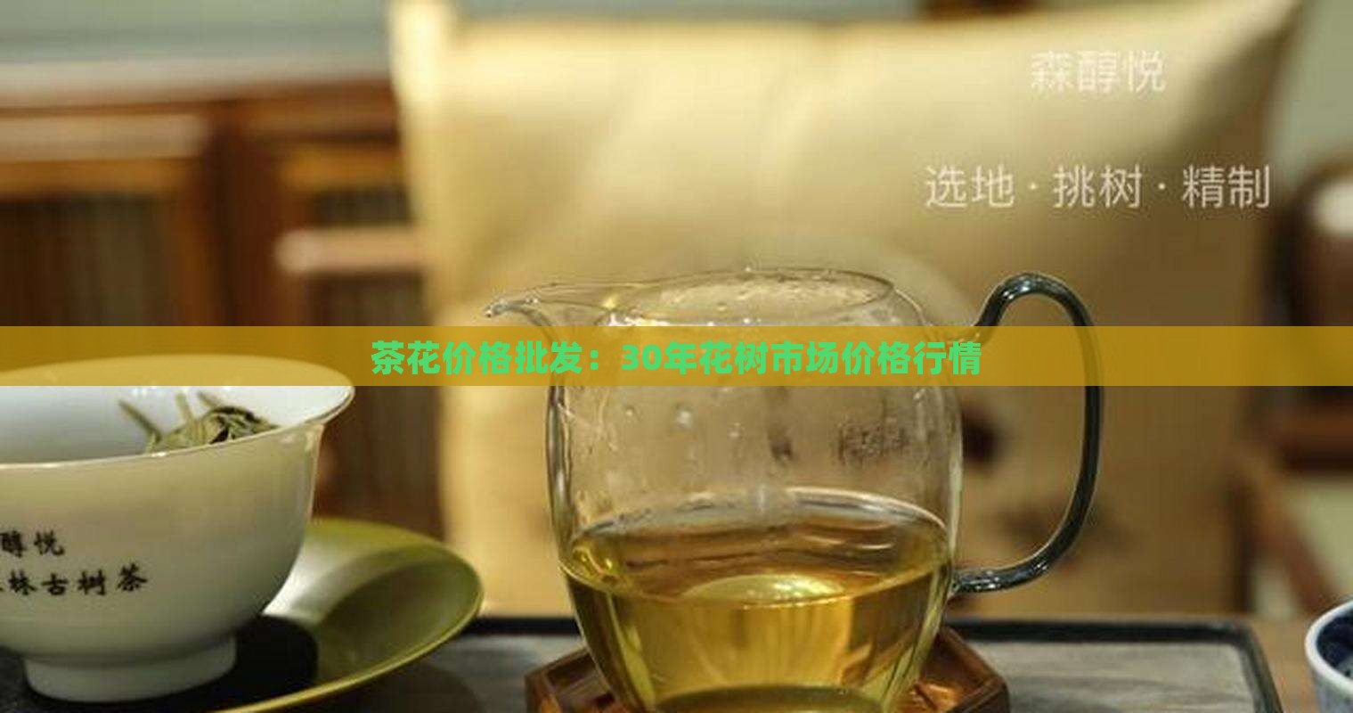 30年茶花树价格
