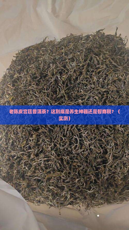 老陈皮宫廷普洱茶