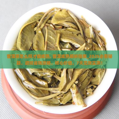 普洱茶怎么样才能成熟