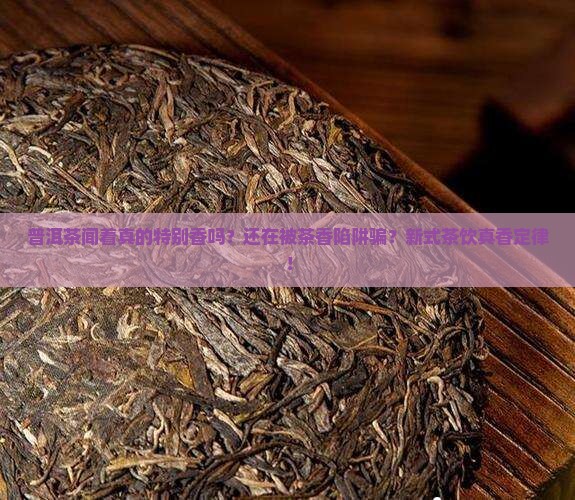 普洱茶闻着特别香