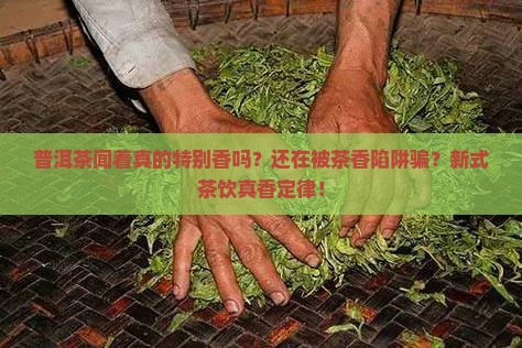 普洱茶闻着特别香