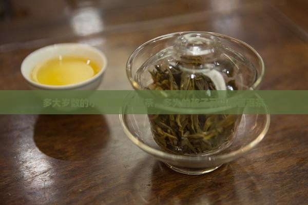 多大岁数的小孩能喝普洱茶
