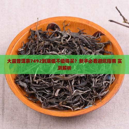 大益普洱茶7492
