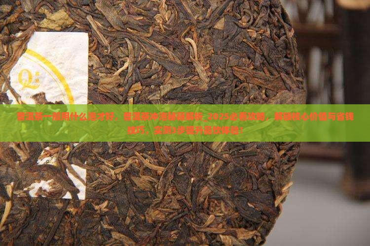 普洱茶一般用什么泡才好