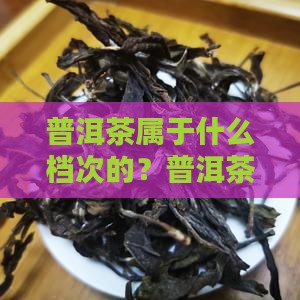 普洱茶属于什么档次的