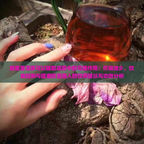 蜂蜜加普洱茶可以减肥吗