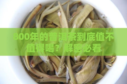 800年的普洱茶