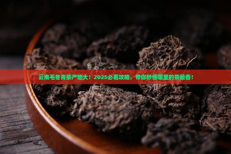 毛冬青茶产地云南哪里