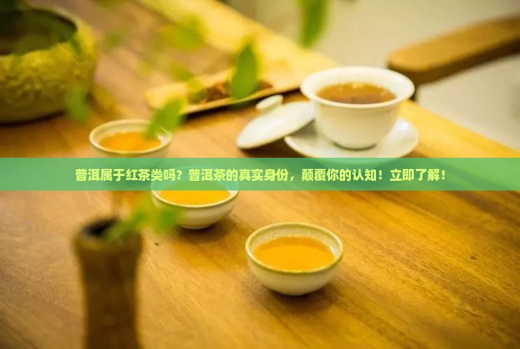 普洱属于红茶类吗